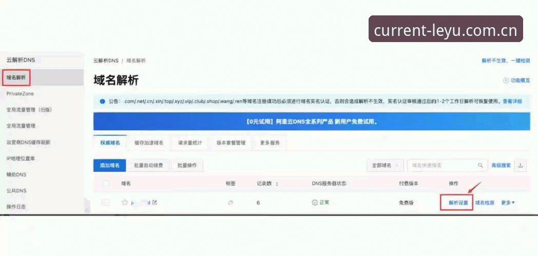 LEYU官方中国域名对比完整指南：从选错到选对的独家经验